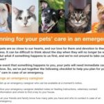 planning for your pet