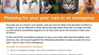 planning for your pet