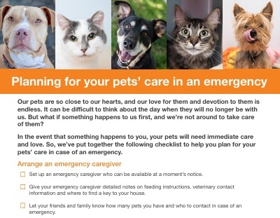 Planning for your pet if you are not around