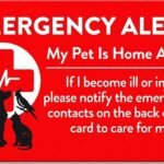 emergency wallet card for pets